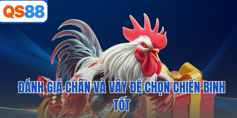 Đánh giá chân và vây để chọn chiến binh tốt