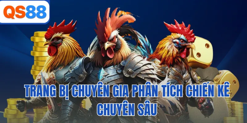 Trang bị chuyên gia phân tích chiến kê chuyên sâu