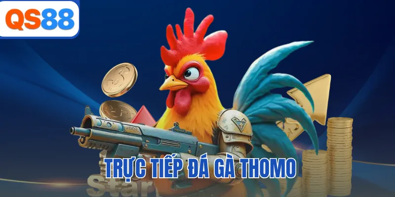 Trực Tiếp Đá Gà Thomo QS88 - Trận Chiến Nảy Lửa Hôm Nay